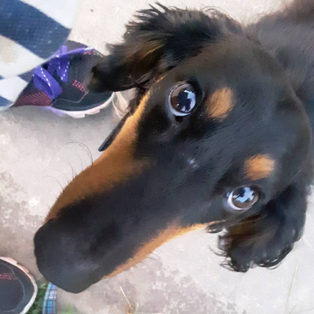 Meet your Posher, Patricia